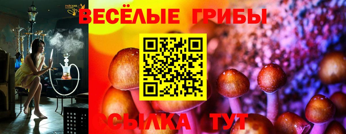 Псилоцибиновые грибы ЛСД Красноярск