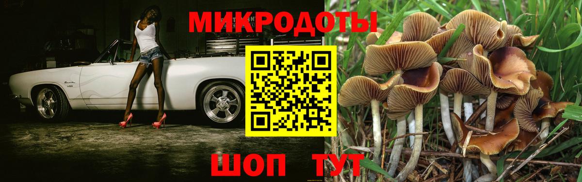 Галлюциногенные грибы Cubensis  Вход с VPN  купить наркоту  Красноярск 